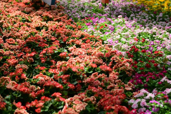 Le top des cuisines équipées avec îlot central