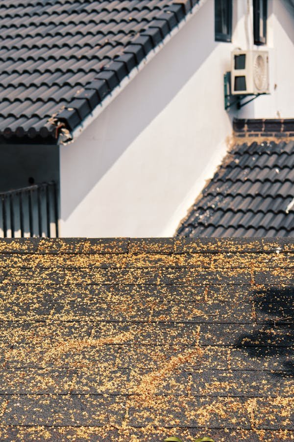 Que faire en cas de fuite sur une toiture plate ? les solutions immédiates